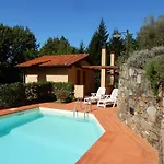 Oliveto * Capannori
