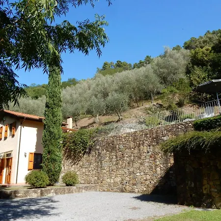 Oliveto * Castelvecchio (Pisa)